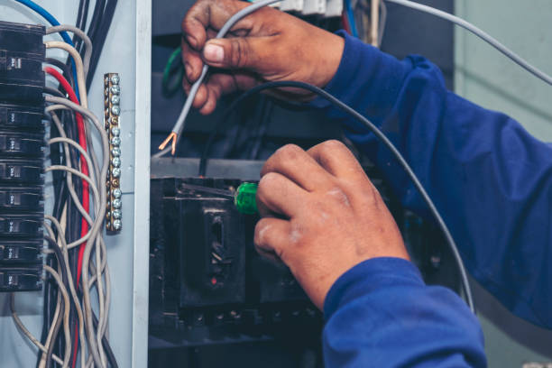 Best Affordable Electrician  in Central Park, WA